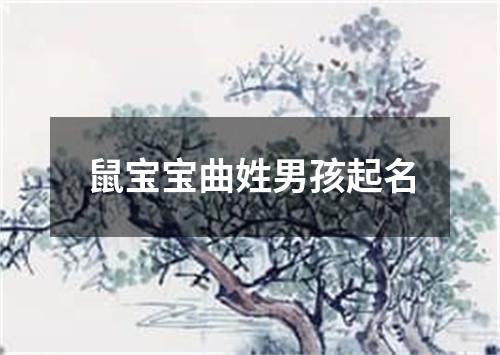 鼠宝宝曲姓男孩起名