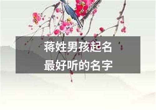 蒋姓男孩起名最好听的名字