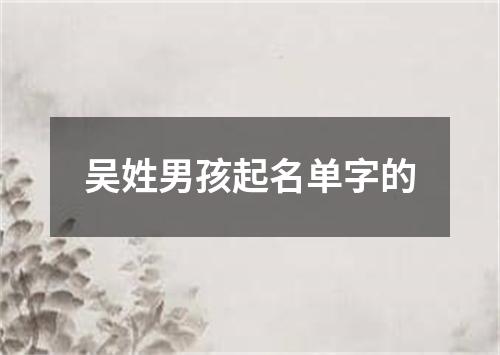 吴姓男孩起名单字的