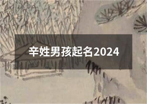 辛姓男孩起名2024