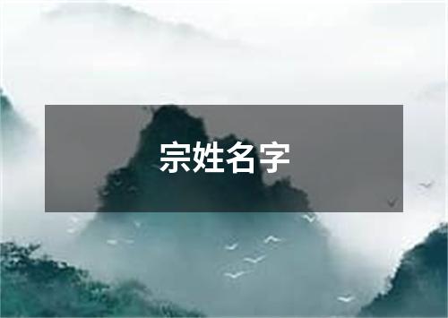 宗姓名字