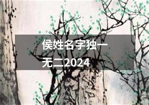 侯姓名字独一无二2024