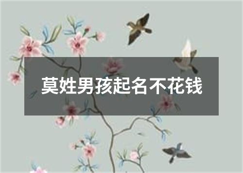 莫姓男孩起名不花钱