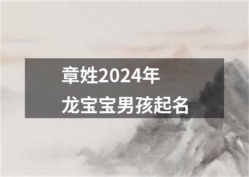 章姓2024年龙宝宝男孩起名