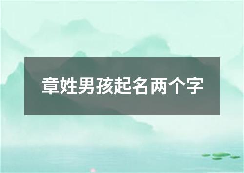 章姓男孩起名两个字