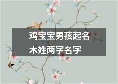 鸡宝宝男孩起名木姓两字名字