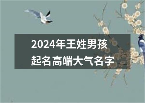 2024年王姓男孩起名高端大气名字