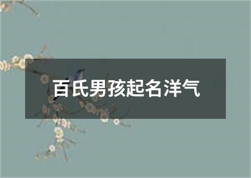 百氏男孩起名洋气