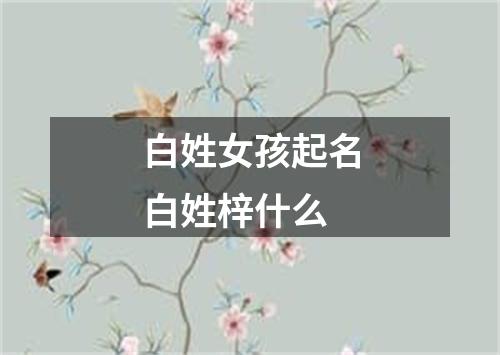 白姓女孩起名白姓梓什么