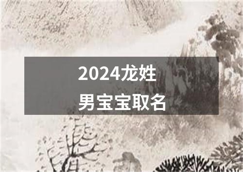 2024龙姓男宝宝取名