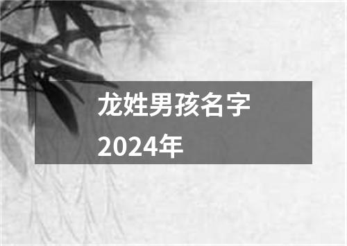 龙姓男孩名字2024年