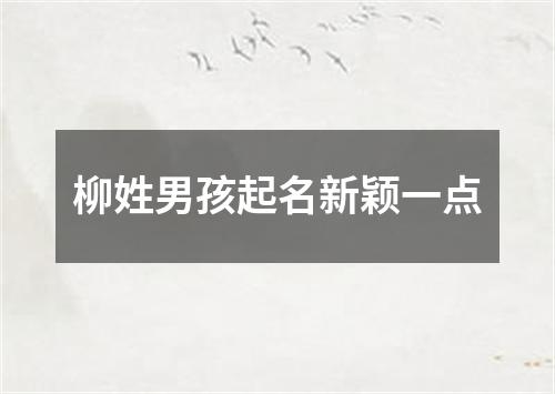 柳姓男孩起名新颖一点