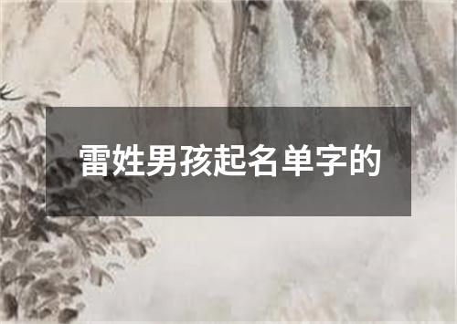 雷姓男孩起名单字的