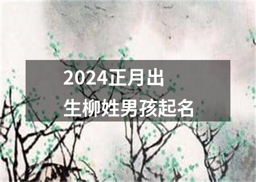 2024正月出生柳姓男孩起名