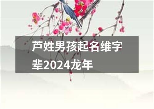 芦姓男孩起名维字辈2024龙年