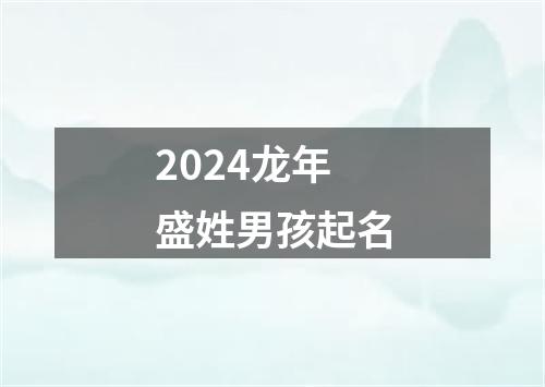 2024龙年盛姓男孩起名