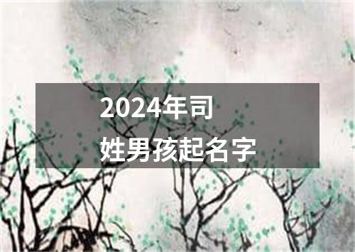 2024年司姓男孩起名字