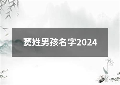 窦姓男孩名字2024