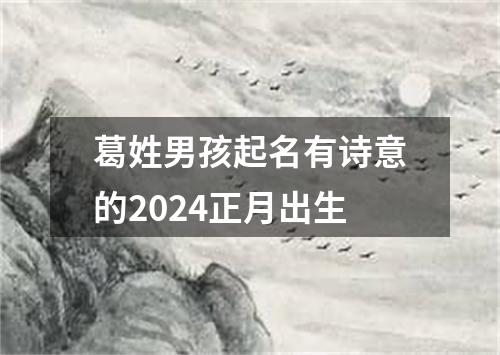 葛姓男孩起名有诗意的2024正月出生