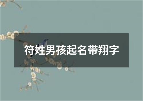 符姓男孩起名带翔字