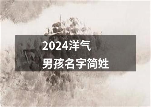 2024洋气男孩名字简姓