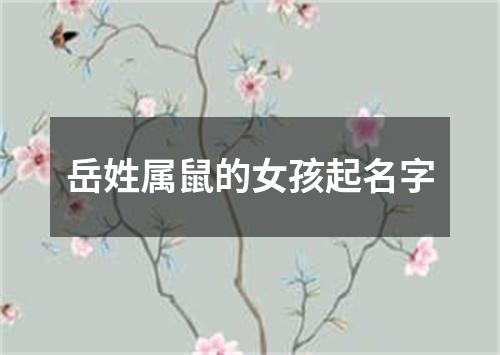 岳姓属鼠的女孩起名字