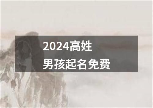 2024高姓男孩起名免费