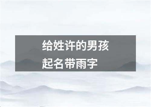 给姓许的男孩起名带雨字