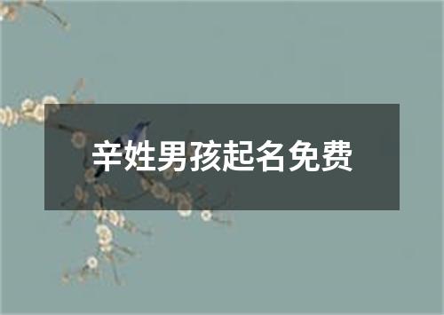 辛姓男孩起名免费