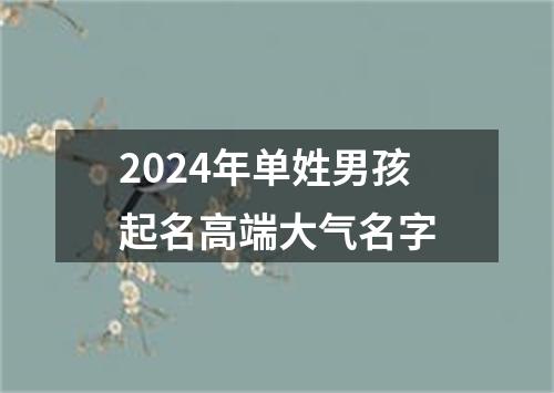 2024年单姓男孩起名高端大气名字