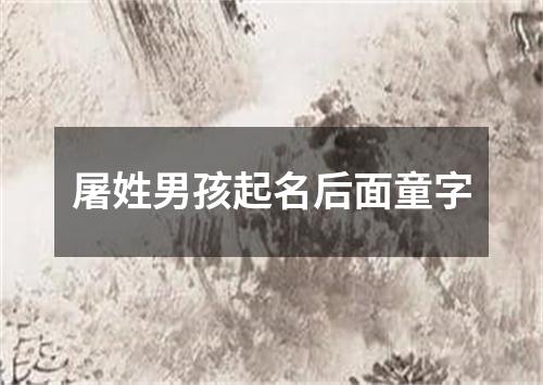 屠姓男孩起名后面童字