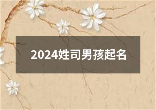 2024姓司男孩起名