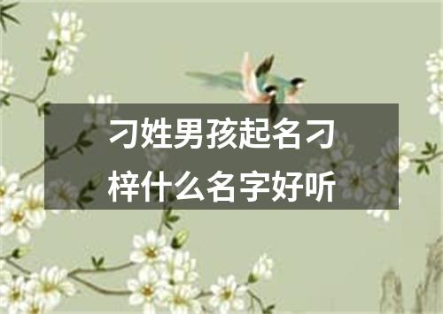 刁姓男孩起名刁梓什么名字好听