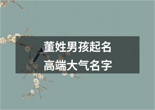 董姓男孩起名高端大气名字