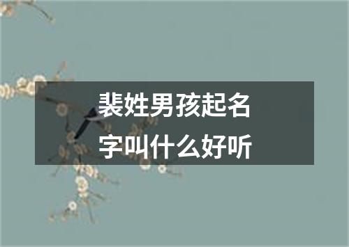 裴姓男孩起名字叫什么好听