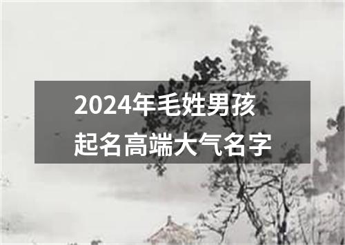 2024年毛姓男孩起名高端大气名字