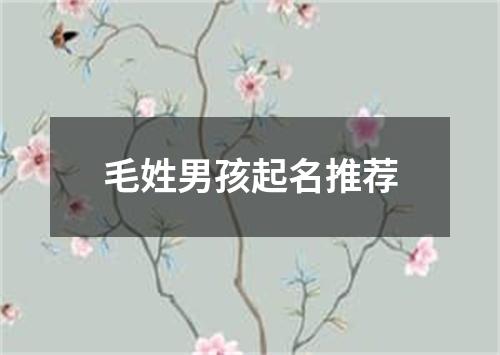 毛姓男孩起名推荐