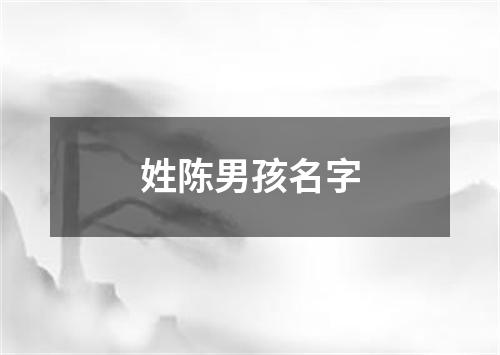 姓陈男孩名字