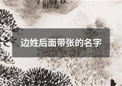 边姓后面带张的名字