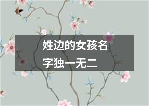 姓边的女孩名字独一无二