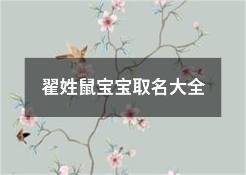 翟姓鼠宝宝取名大全