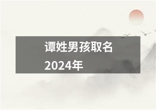 谭姓男孩取名2024年