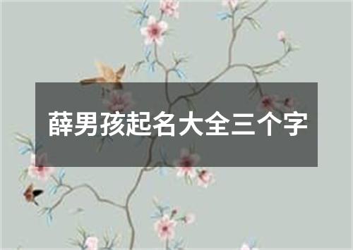 薛男孩起名大全三个字