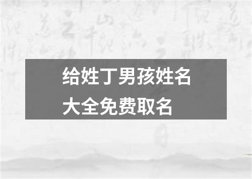 给姓丁男孩姓名大全免费取名