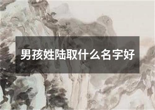 男孩姓陆取什么名字好