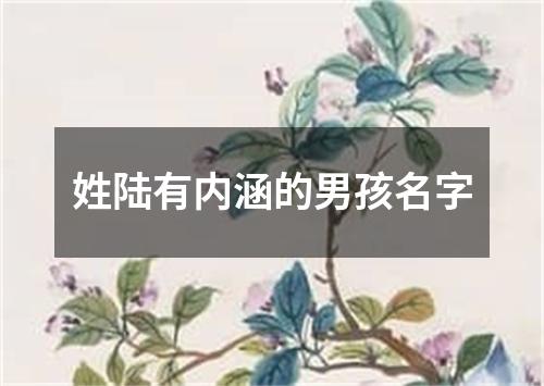 姓陆有内涵的男孩名字