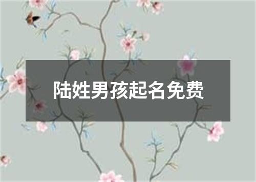 陆姓男孩起名免费