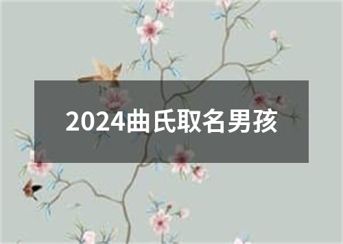 2024曲氏取名男孩