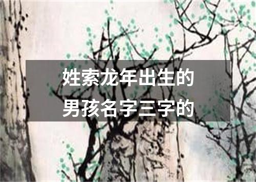 姓索龙年出生的男孩名字三字的