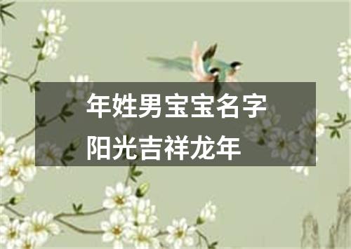 年姓男宝宝名字阳光吉祥龙年